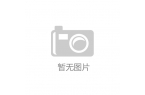 麻将胡了电子游戏宏碁CES 2025：N